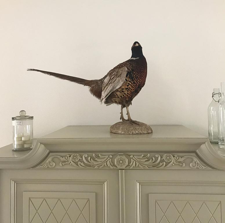 Vita Huset B&B Soelvesborg ภายนอก รูปภาพ
